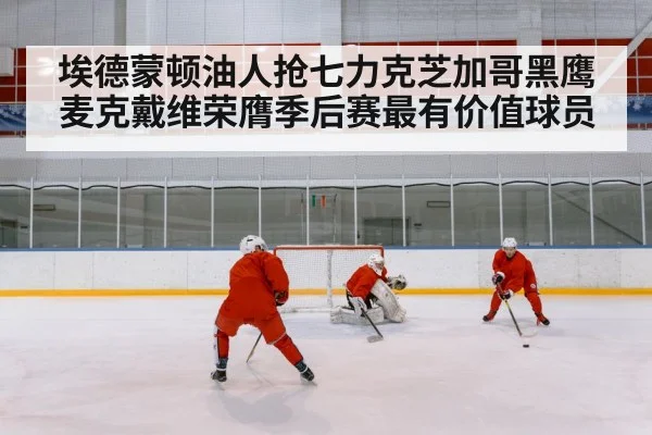 ice hockey rink