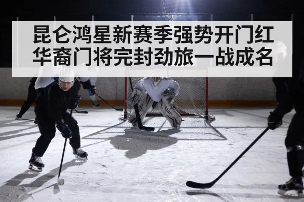 ice hockey arena action